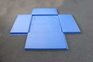 panels layed out