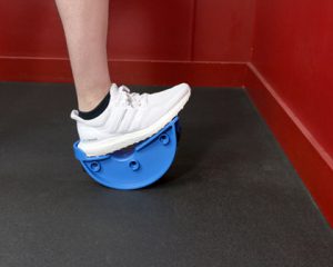 soleus
