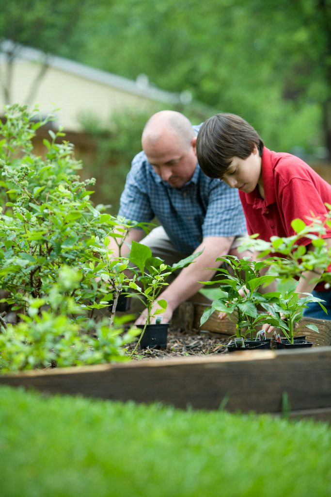 Keeping your Kids Active this Summer