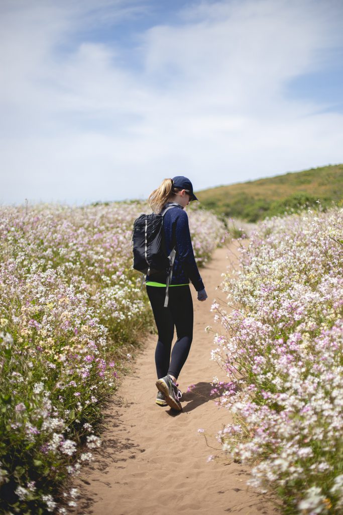 National Chiropractic Health Month 2020