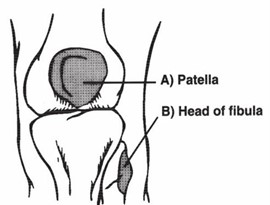 Ottawa Knee Rules