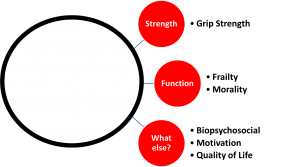 How to Evaluate the Well-Being of Patients? Grip Strength.