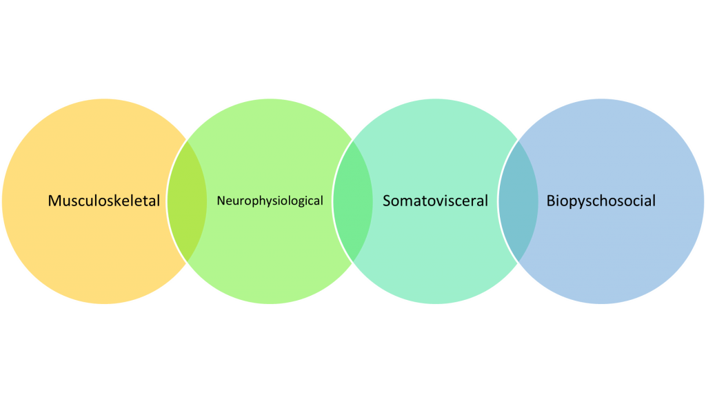 How Are My Symptoms Connected? Regional Interdependence.