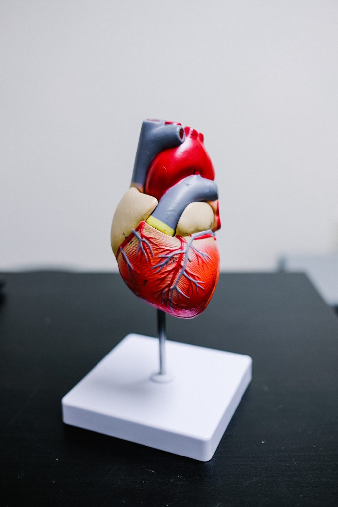 American Heart Month 2023