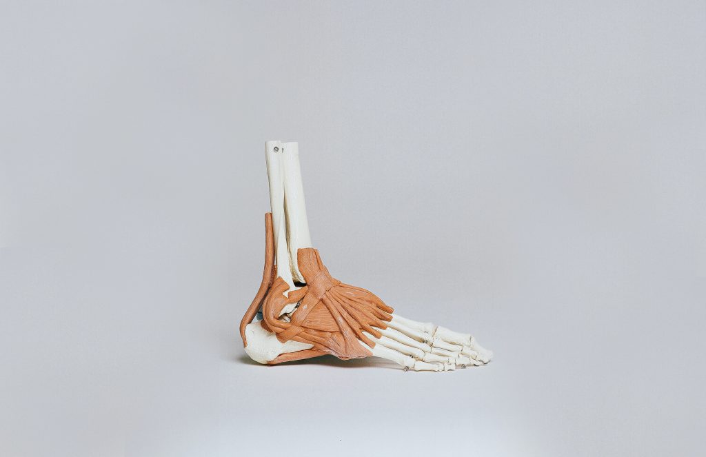 The Importance of Strong Ankles